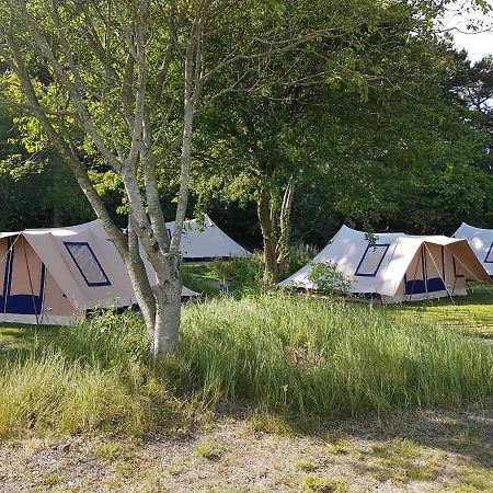 Ameland Tentenverhuur Nes  Luaran gambar