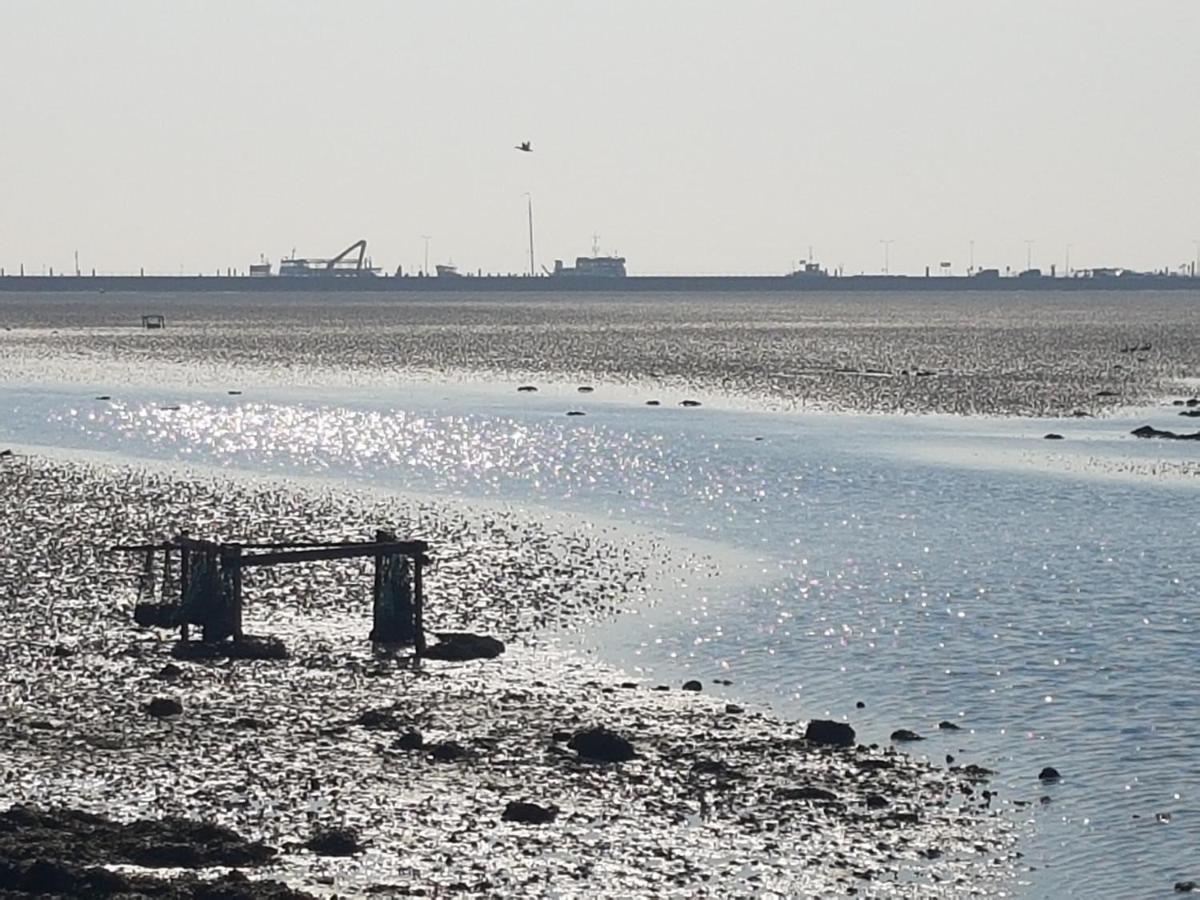Ameland Tentenverhuur Nes  Luaran gambar